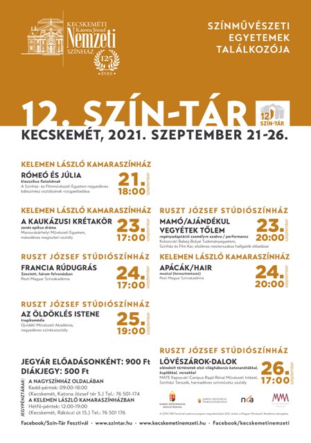 a jovo szinmuveszei