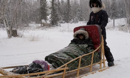 Ismét Emmy-díjas az „Élet a fagypont alatt”