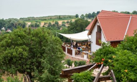 A Folly Európa élvonalában – Fejlesztések a 116 éves Folly Arborétumban