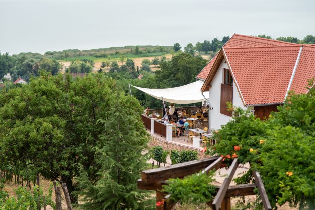 A Folly Európa élvonalában – Fejlesztések a 116 éves Folly Arborétumban