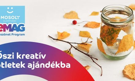 Alkoss, támogass, gyarapíts! – A Mosoly Alapítvány őszi kreatív kampánya
