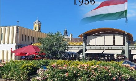 Ünnepi nyitva tartás október 23-án a kecskeméti piacokon!