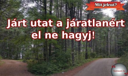A magyar nyelv „fűszerei”: szólások, közmondások
