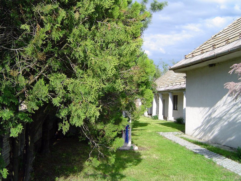 mikszath