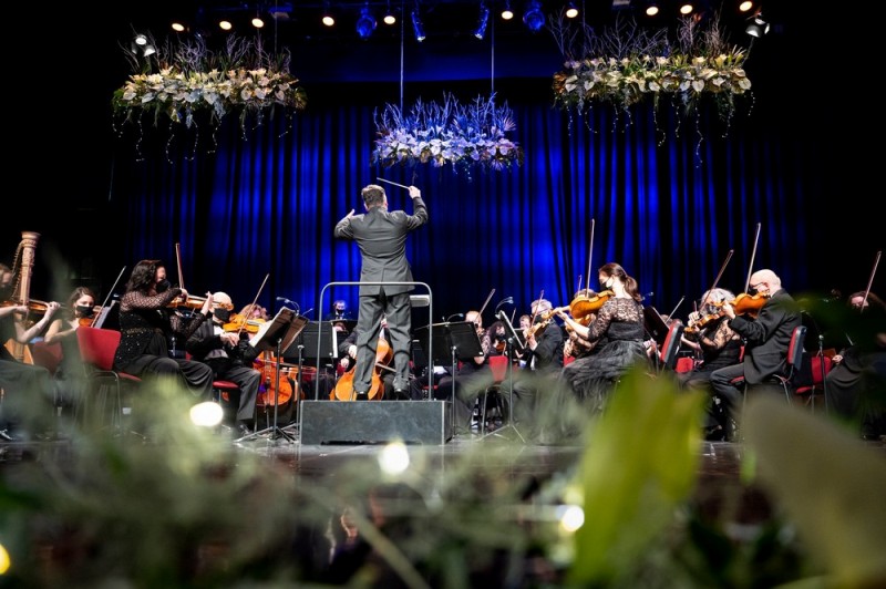 ujevi koncert