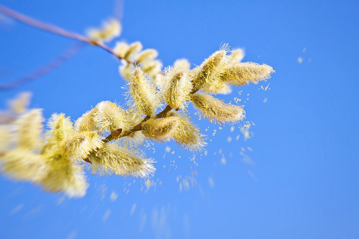 Készüljünk az allergiaszezonra!