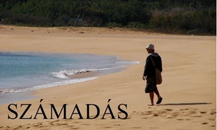 Számadás! – Hol? – Az MM antológiájában