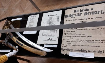 Ünnepi tárlatvezetés a Bozsó Gyűjtemény vitrintárlatán