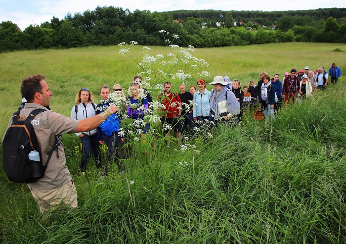 gyorgytea turak