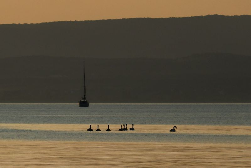 a balaton