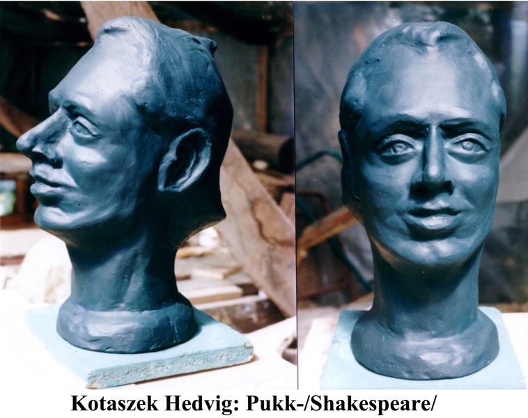 kotaszek hedvig