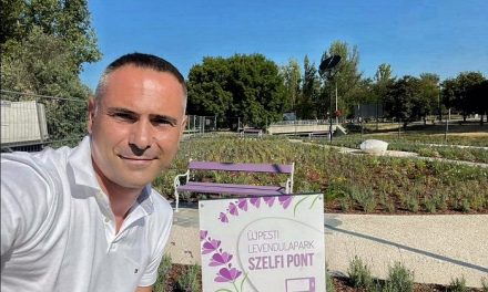 Az Újpesti Levendulapark már látogatható