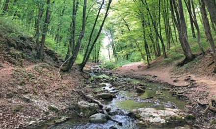 Húszezren zarándokolhatnak a békéért augusztus 13-án