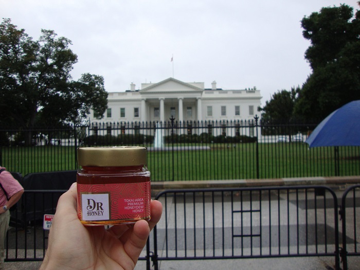 Dr. Honey – Magyar hársméz sikere amerikai mézversenyen