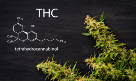 Ismert hatásuk ellenére legálisak-e a THC tartalmú termékek?
