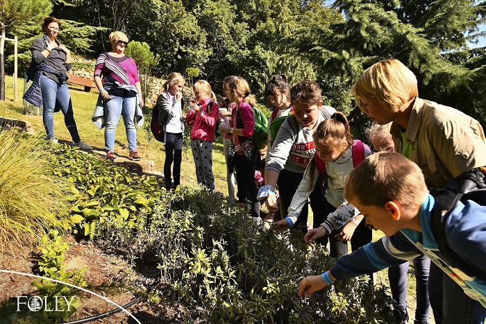 Így neveld a ciprusodat! – PÁLYÁZAT