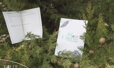 Csúcsjelentkezés a ciprusmagnevelő felhívásra!