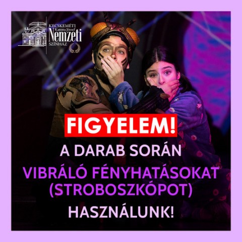 Varázslatos utazás az álmok világába