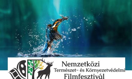 IX. Nemzetközi Környezetvédelmi Filmfesztivál