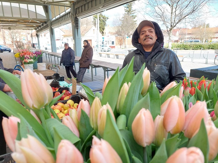 Termelői tulipánok a kecskeméti piacon