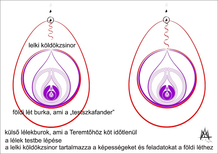 Napi hYVószó: Tojás