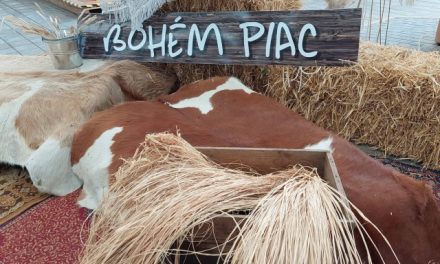 Ismét indul a „Bohém Piac” vásársorozat