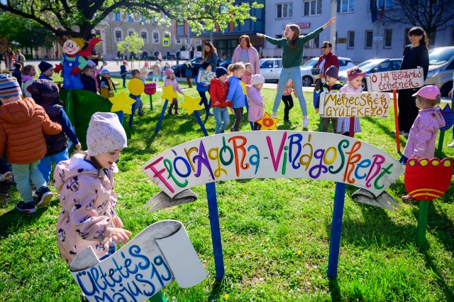 Virágültetés a méhek világnapján – VÁLTOZÁS!