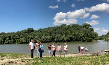 Ha nyár, akkor irány Csongrád!
