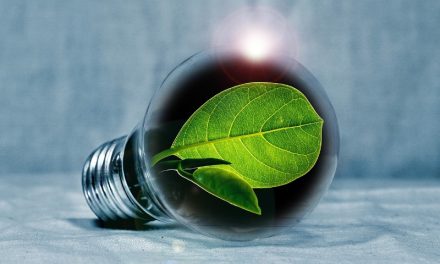 Az energetikai szakreferens feladatai és alkalmazásának fontossága