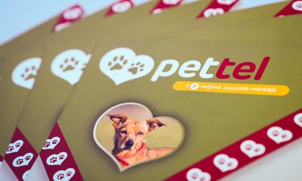 Pettel projekt: Segíts a mobiloddal!