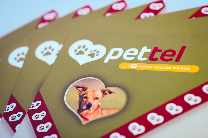 Pettel projekt: Segíts a mobiloddal!