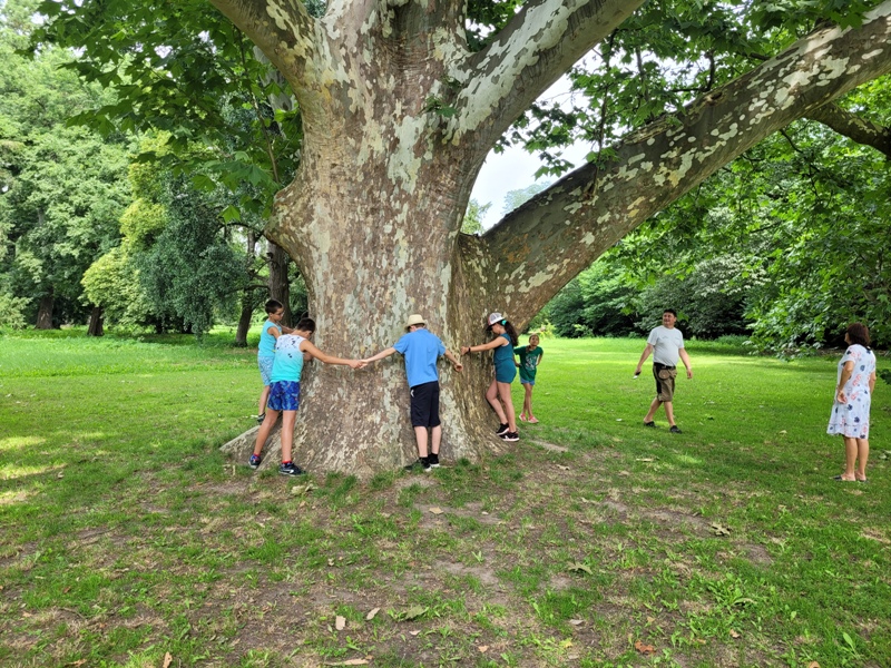 aranyossziget