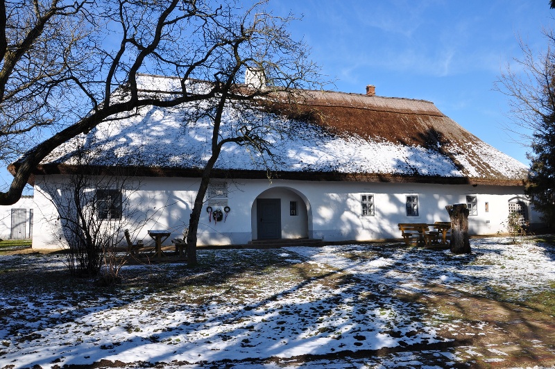 kolcsey
