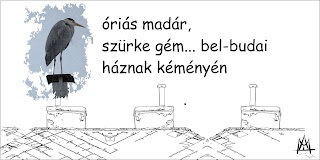 Szinkronicitás
