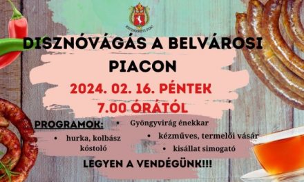Disznóvágás a kecskeméti belvárosi piacon