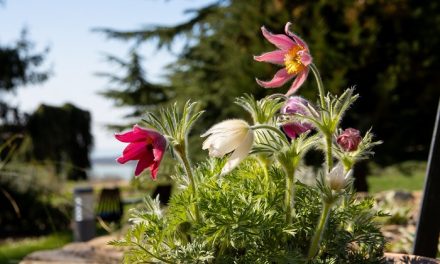 A Folly Arborétum új programokkal vár!