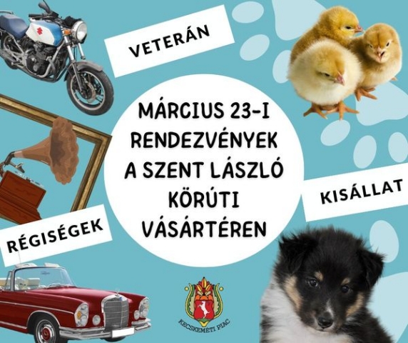 Az év első kisállatvására Kecskeméten