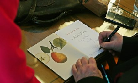 Gyümölcsök és praktikák a Tündérkertből