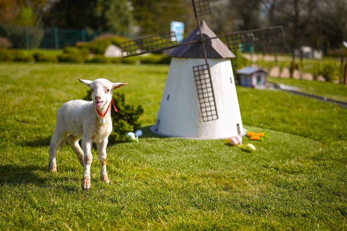 A Mini Magyarország Makettpark Szarvason