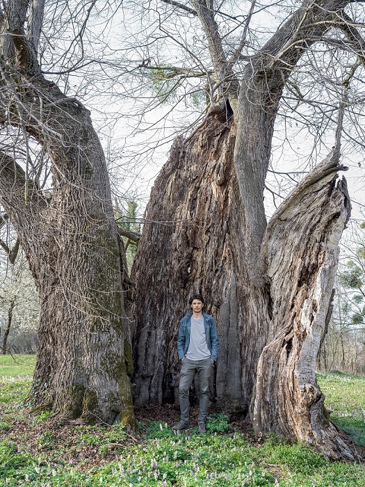 Évgyűrűkben őrzött történetek a Folly Arborétumban