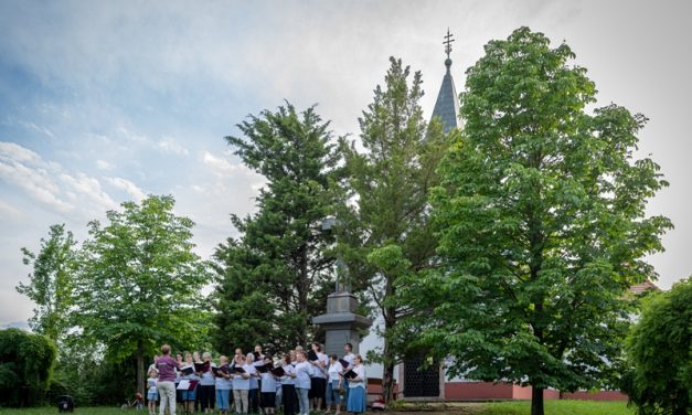 Koncert a kecskeméti arborétumban