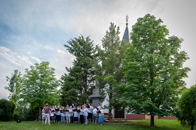 Koncert a kecskeméti arborétumban