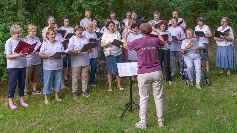 Koncert a kecskeméti arborétumban