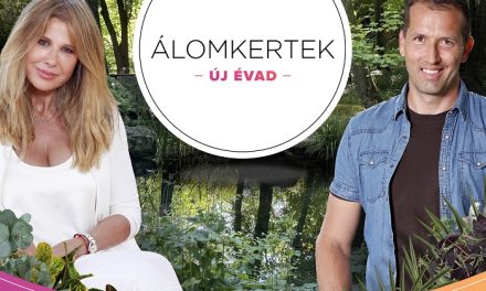 Álomkertek a Spektrum Home-on