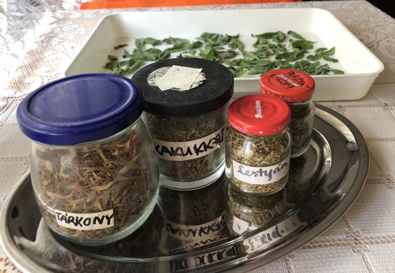 Fűszernövények szárítása – avagy tegyük el télire!