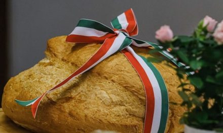 Programsorozattal ünnepli Pécs augusztus 20-át