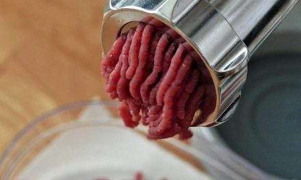 Szénacél vagy hagyományos darálótárcsák: melyek jelentik a jobb választást a húsiparban?