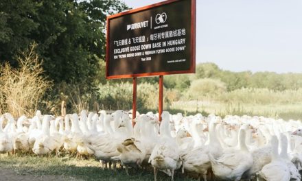A kínai GUVET az FBZ Hungária stratégiai partnere