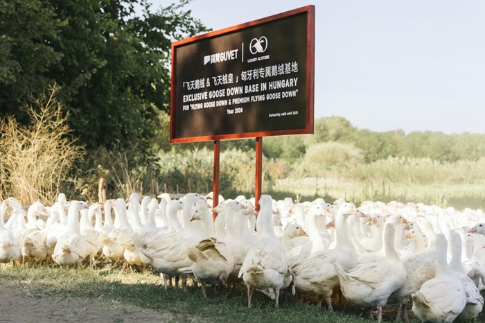 A kínai GUVET az FBZ Hungária stratégiai partnere