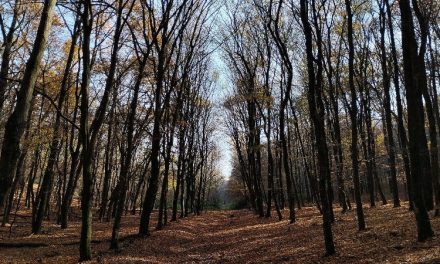 Csörsz-árok – A Gödöllői-dombság titkos védvonala
